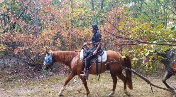 Take A Fall Foliage Trail Ride On Horseback At Mountain Creek Stable In Pennsylvania