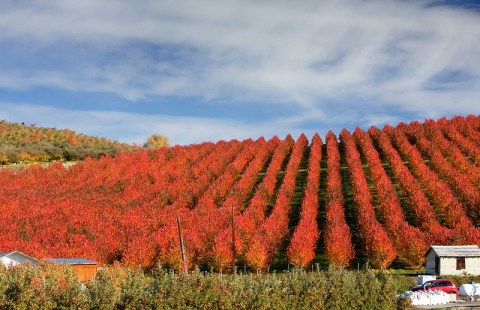 9 Reasons Why Fall Is Actually The Best Time To Visit Chelan, Washington