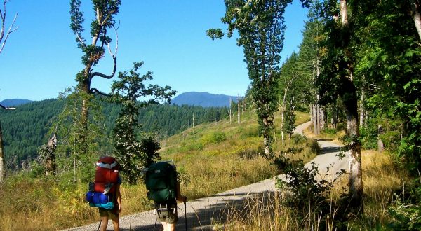 50 Years In The Making, The Corvallis-To-The-Sea-Trail Just Opened – And It’s An Epic Oregon Adventure