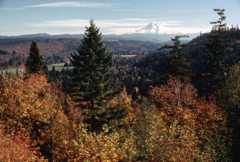 Fall Is The Perfect Time To Visit This Historic Mountain Town In Oregon