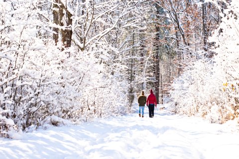 Get Ready To Bundle Up, The Farmers' Almanac is Predicting Below Average Temperatures This Winter In New Hampshire