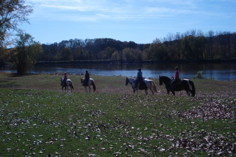 Take A Fall Trail Ride On Horseback At Cedar Valley Stables In Iowa