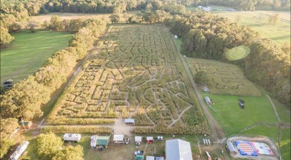 The Cajun Country Corn Maze In Louisiana Is A Classic Fall Tradition