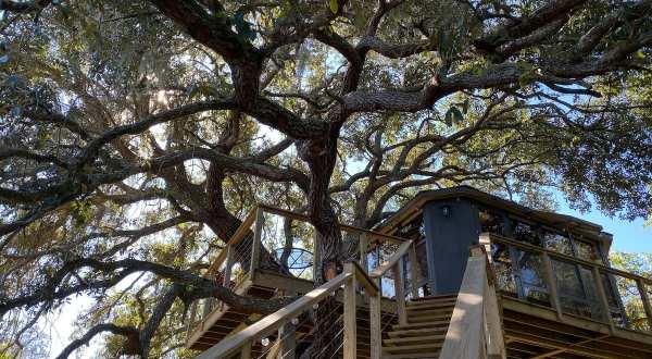 Spend The Night Stargazing In A Treehouse Near St. Cloud, Florida