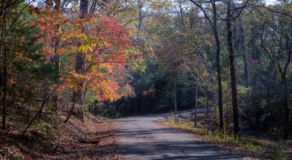 Fall Is The Perfect Time To Visit This Historic East Texas Town