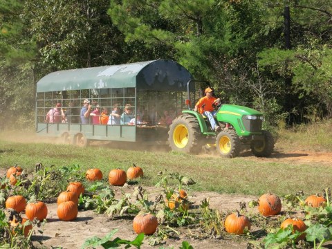 The Fall Festival At Lazy Acres In Mississippi Is A Classic Fall Tradition