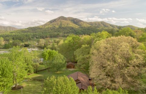 Escape This Winter To The Stunning And Secluded Smoky Mountain Golden Cabins In Tennessee