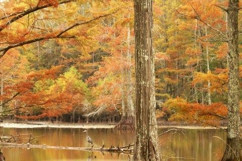 This Easy Fall Hike In Mississippi Is Just 2 Miles And You'll Love Every Step You Take