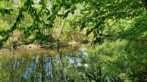 Stroll Through A Lush Forested Area On The Owl Creek Reservoir Trail In Pennsylvania