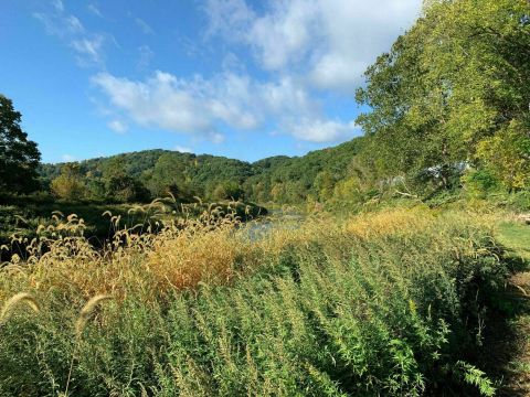 Explore Thornburg Conservation Park In Pittsburgh On A Secluded, Picturesque Three-Mile Hike