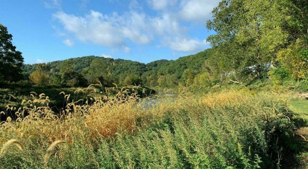Explore Thornburg Conservation Park In Pittsburgh On A Secluded, Picturesque Three-Mile Hike
