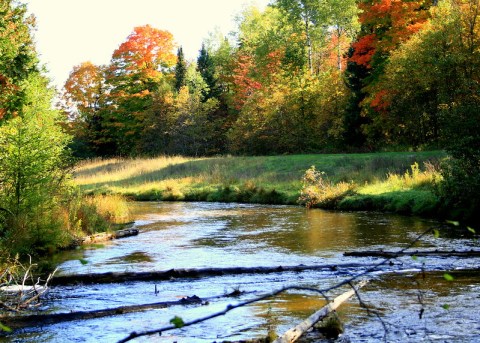 Paddle Past October Colors During This Fall Foliage Canoe Trip In Michigan