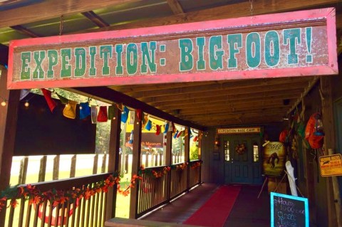 There's A Bigfoot Museum In Georgia And It's Full Of Fascinating Oddities, Artifacts, And More