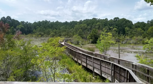 Enjoy Endless Scenery Along The Easy Breezy 1.5 Mile Restoration Park Trail In Louisiana