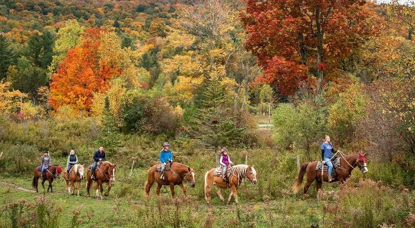 Take A Fall Foliage Trail Ride On Horseback At Lajoie Stables In Vermont