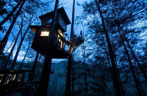 Spend The Night Stargazing In A Treehouse Near The Red River Gorge In Kentucky