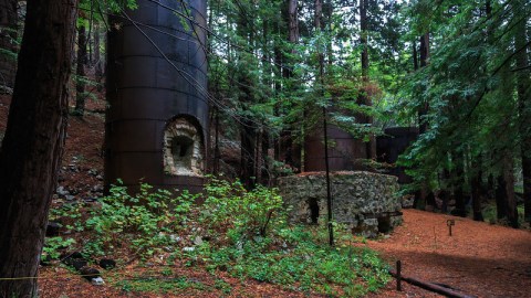 You Can Hike To 19th Century Ruins In The Redwood Forest At Limekiln State Park In Northern California