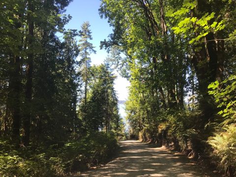 Kopachuck State Park Is A Little-Known Park In Washington That Is Perfect For Your Next Outing