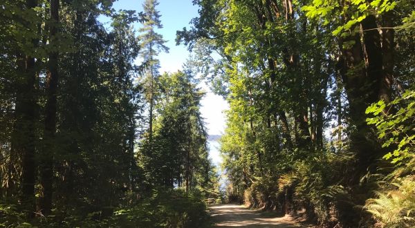 Kopachuck State Park Is A Little-Known Park In Washington That Is Perfect For Your Next Outing