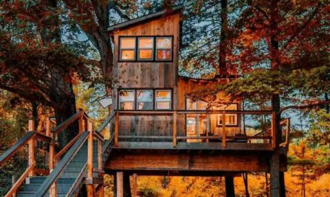 This Treehouse Airbnb In Connecticut Comes With Its Own Animal Farm