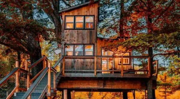 This Treehouse Airbnb In Connecticut Comes With Its Own Animal Farm
