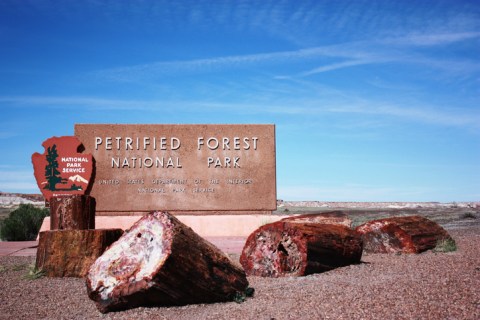 Petrified Forest National Park Is A Unique Dog-Friendly Destination In Arizona Perfect For An Outdoor Adventure