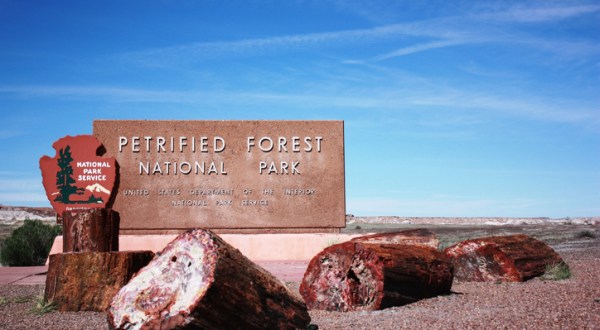 Petrified Forest National Park Is A Unique Dog-Friendly Destination In Arizona Perfect For An Outdoor Adventure