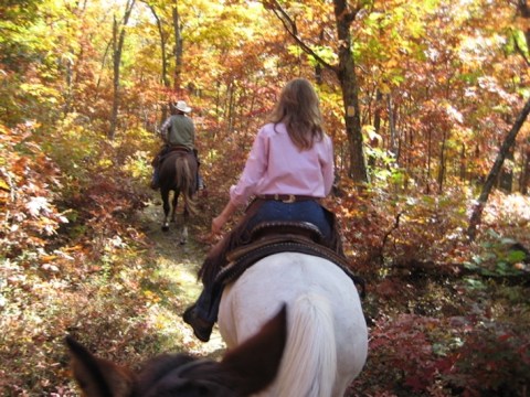 Take A Fall Foliage Trail Ride On Horseback At Echo Lake Stables In New Jersey