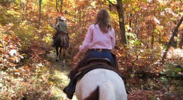 Take A Fall Foliage Trail Ride On Horseback At Echo Lake Stables In New Jersey