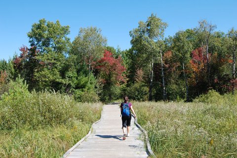 The Unique Moses Creek Trail is a Wisconsin Boardwalk Trail That’s Beyond Beautiful