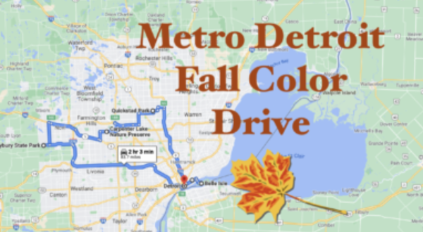 Take A 2-Hour Drive Through Metro Detroit To See This Year’s Beautiful Fall Colors