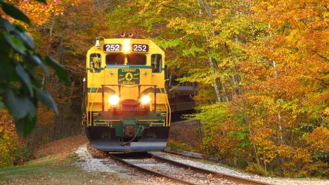 There's Nothing Quite As Magical As The Tunnel Of Trees You'll Find On The Conway Scenic Railroad In New Hampshire