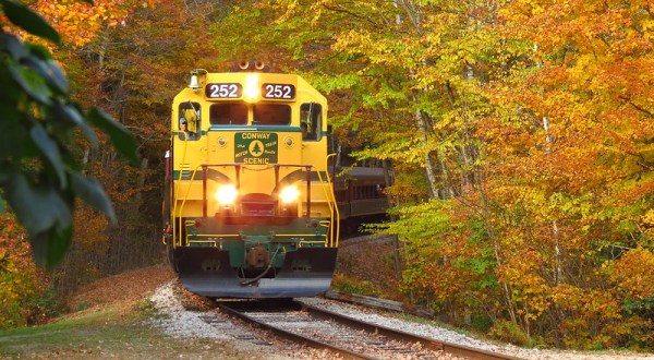 There’s Nothing Quite As Magical As The Tunnel Of Trees You’ll Find On The Conway Scenic Railroad In New Hampshire