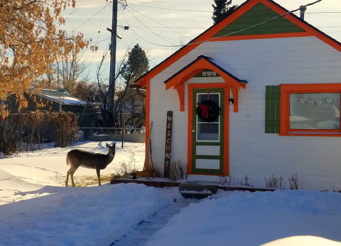 This Century-Old Montana Cabin Has A Private Sauna And A Backyard Hot Tub