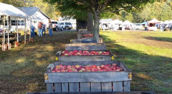 One Of The Oldest Apple Festivals In Virginia, The Graves Mountain Apple Harvest Festival Is A Tradition You Won’t Want To Miss