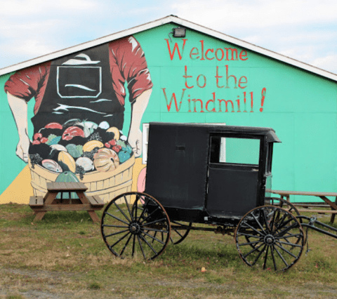 The Tiny Amish Town In New York That's The Perfect Day Trip Destination