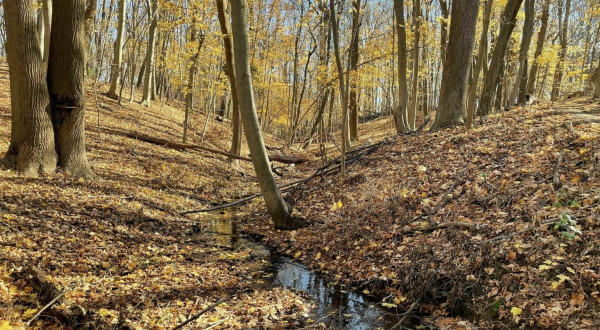 This Easy Fall Hike In New Jersey Is Under 2 Miles And You’ll Love Every Step You Take