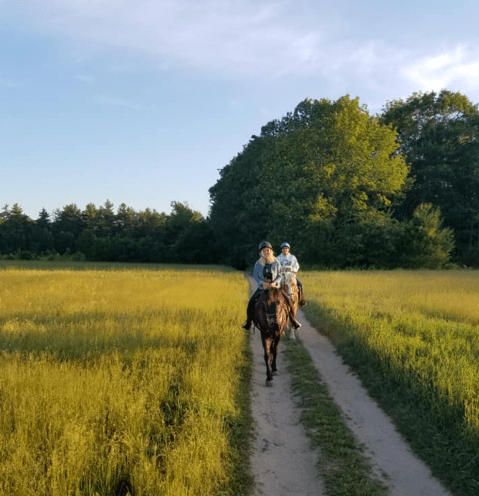 Take A Fall Foliage Trail Ride On Horseback At Carousel Horse Farm In Maine