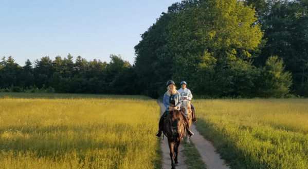 Take A Fall Foliage Trail Ride On Horseback At Carousel Horse Farm In Maine
