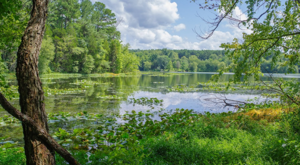 Discover A Pristine Paradise When You Visit Illinois’ Lake Glendale