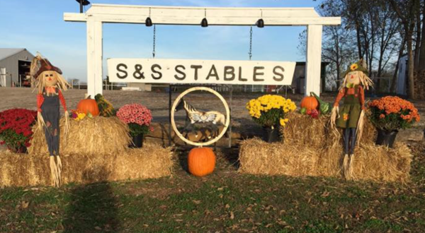 Take A Fall Foliage Trail Ride On Horseback At S & S Stables, LLC In Kansas