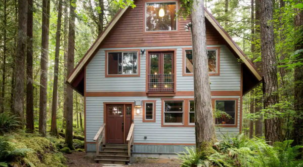 Relax At This Cozy Treetop Cabin With A Hot Tub Right Here In Washington