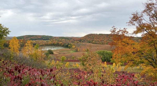 With Hills That Soar 1,600 Feet Above The Surrounding Landscape, Maplewood State Park Is One Of Minnesota’s Best Spots To See Fall Leaves