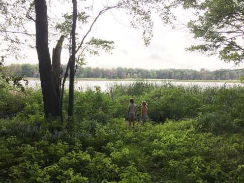 Every Season Is Spectacular At Sand Point Nature Preserve, A 220-Acre Wonderland In Michigan