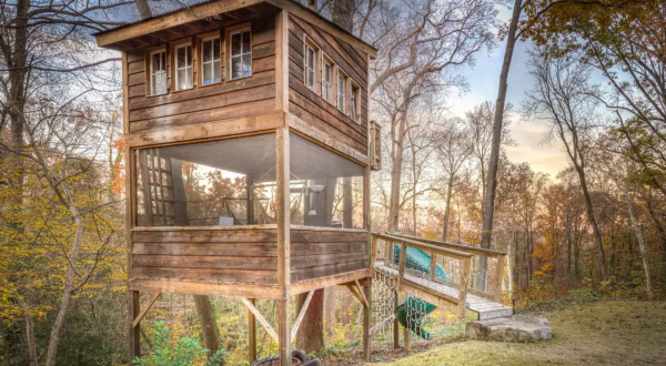 Feel Like A Kid Again When You Stay At The Trailside Treehouse, A Unique Virginia Airbnb With Its Own Slide