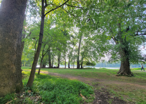 Home To Some Of The Biggest Trees In Virginia, The Algonkian Regional Park Is A Must-Visit