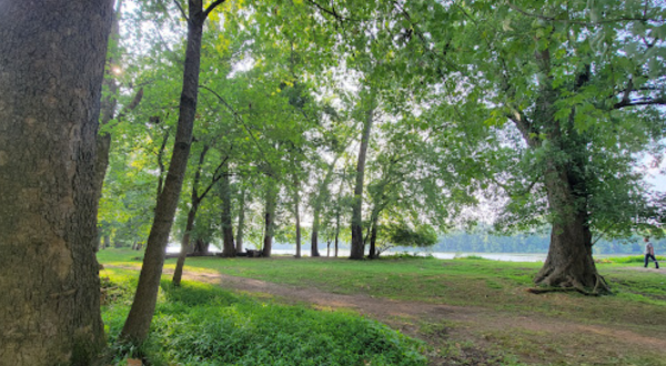 Home To Some Of The Biggest Trees In Virginia, The Algonkian Regional Park Is A Must-Visit
