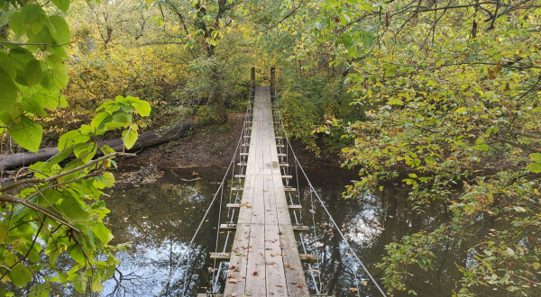 Walk Across This Swinging Bridge For A Gorgeous View Of New Jersey’s Fall Colors
