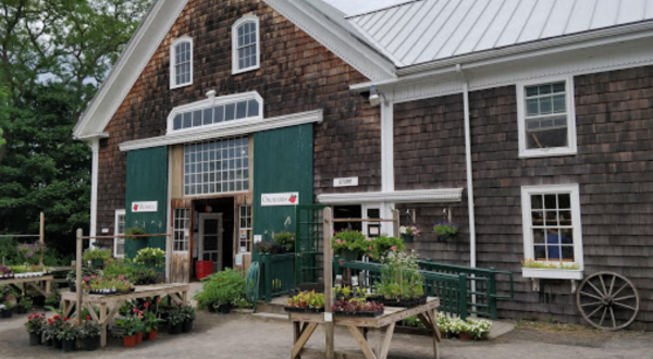 The Old Farm In Massachusetts That’s A Bakery, Store, and Winery All In One