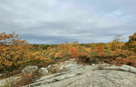 The Awesome Hike That Will Take You To The Most Spectacular Fall Foliage In New Jersey